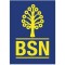 BSN Launches Batman Visa Debit Card