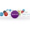Yahoo! Small Business adds new solution Yahoo! Localworks to help SMBs increase visibility