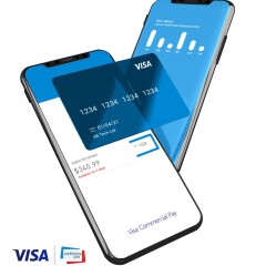 Visa Commercial Pay Brings Virtual Card Capabilities to Clients and Partners Worldwide