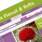 Vin Florist & Gifts  Review