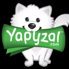 ePaymentAmerica introduce social commerce tool Yapyzal