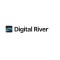 Digital River Adds PayPal Payment Solutions into Its Portfolio