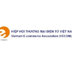 Top eCommerce Websites in Vietnam Owned by Local Companies