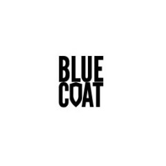 Blue Coat Systems: 2015 Outlook Statement