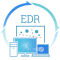 Having Everything At Once? Tips For Small Enterprises On How To Choose An EDR Solution That Suits Their Needs