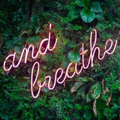 Research: People Globally Want to Expand their Minds, Unwind from the Daily Grind and Seek Selfless Self-Care