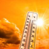 Beat the Heat: Expert Tips to Stay Cool and Safe During a Heatwave