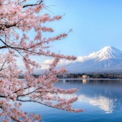 Yamanashi Prefecture Introduces Online Reservations and Entry Fees for Mount Fuji Climbers