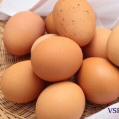 Debunking the Egg Myth: How Eating Eggs Can Actually Improve Your Cholesterol Levels