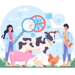 TACKLING ANTIMICROBIAL RESISTANCE IN THE ANIMAL HEALTH SECTOR