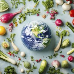 Food Security in the Face of Climate Change